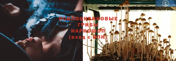 шишки Баксан