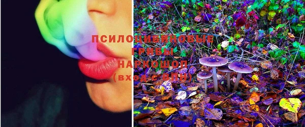 apvp Балахна