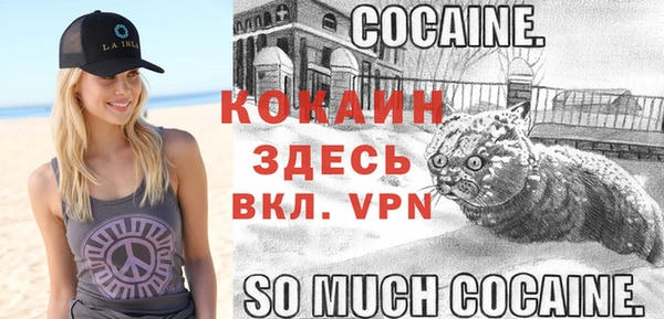 apvp Балахна