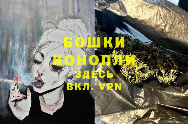 шишки Баксан