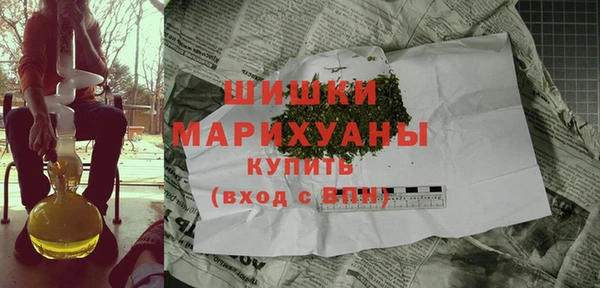 шишки Баксан