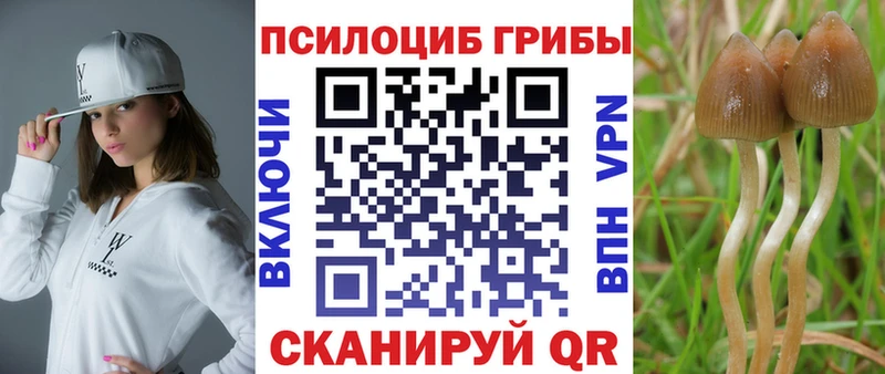 hydra ссылки  Николаевск  Псилоцибиновые грибы мухоморы 