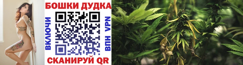 Бошки Шишки VHQ купить закладку Николаевск